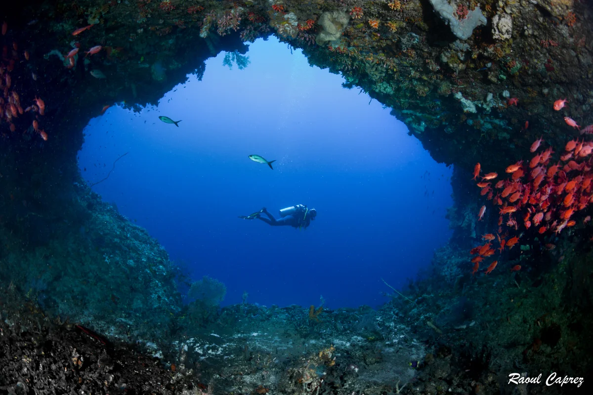 Blue Planet Dive Resort - Diving in Bira, South Sulawesi